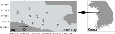 Ecological risk assessment of heavy metals in surface sediments and their impact on macrobenthos in Asan Bay, South Korea